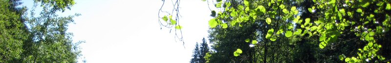 Blick in den Himmel über der Ilz